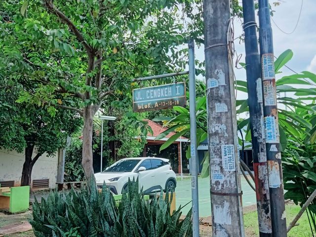 place photo 4