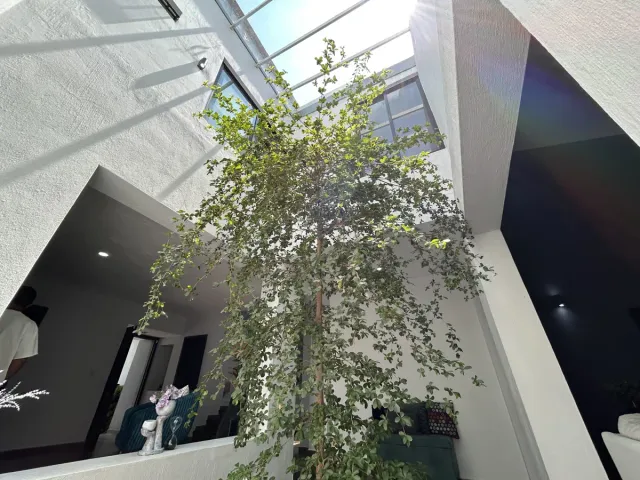 place photo 47