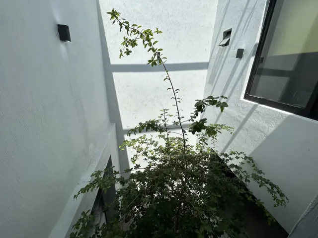 place photo 48