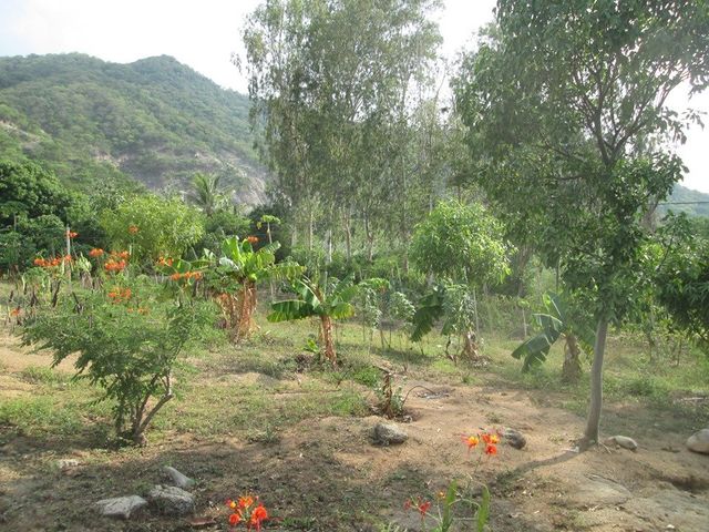 place photo 14
