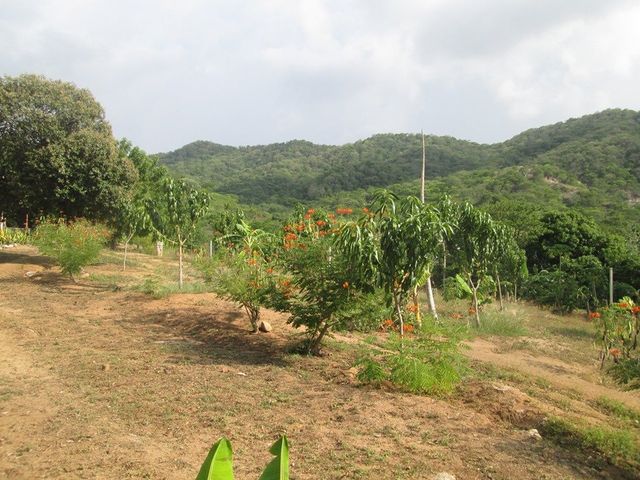 place photo 19