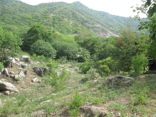 place photo 21