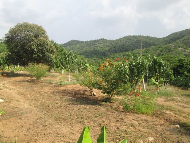 place photo 13