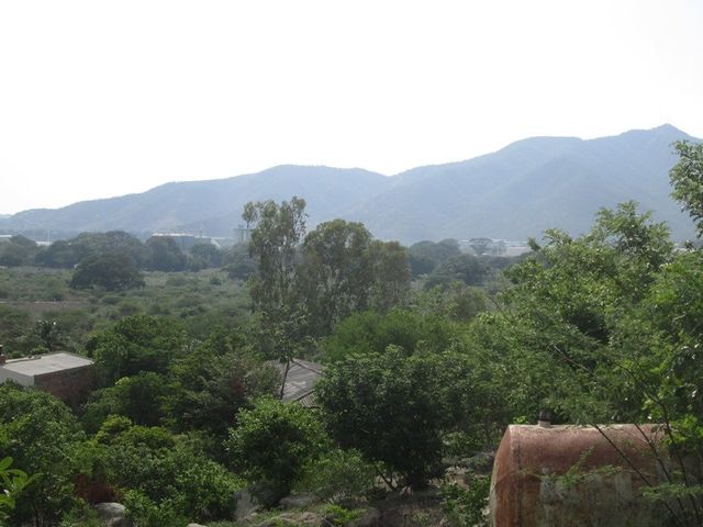place photo 17