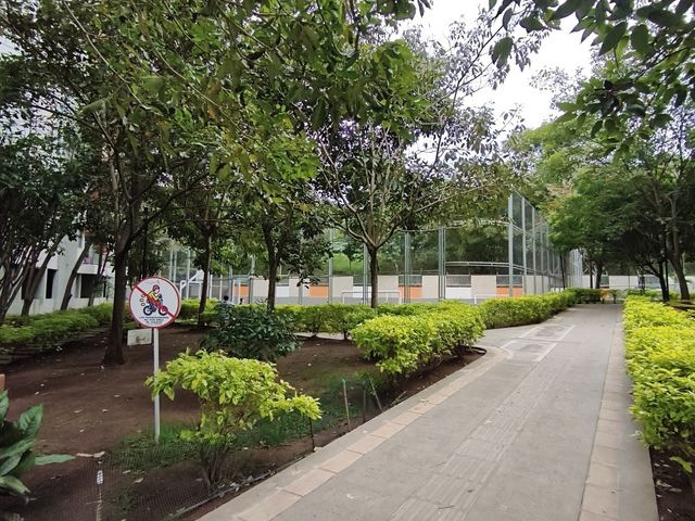 place photo 17