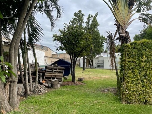 place photo 11