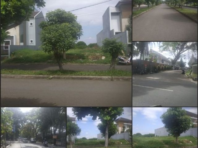place photo 1
