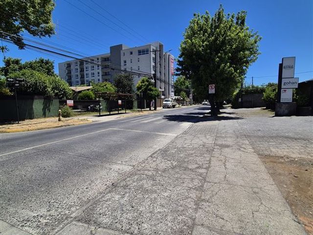 place photo 32