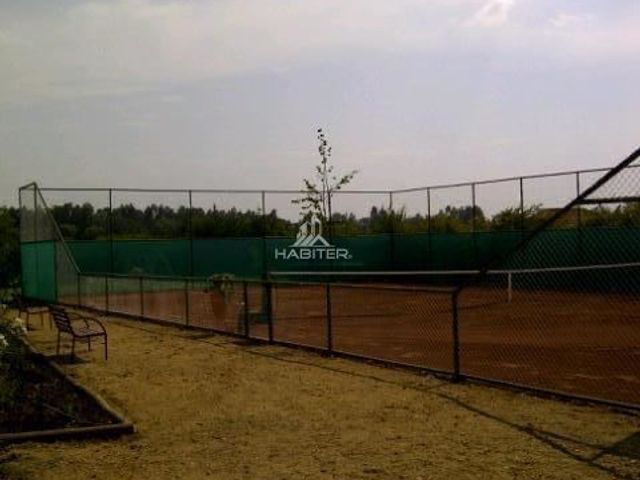 place photo 19