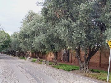 place photo 24