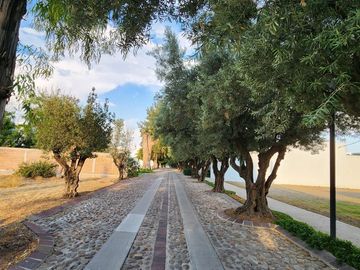 place photo 22