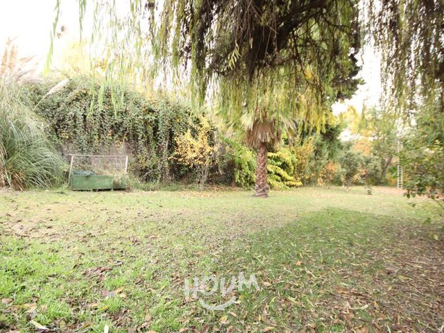 place photo 58
