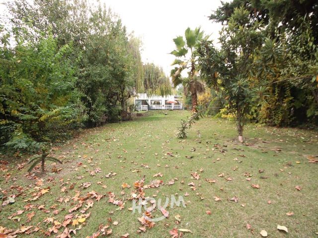 place photo 61