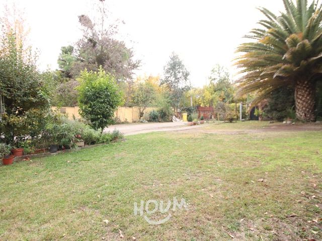 place photo 64
