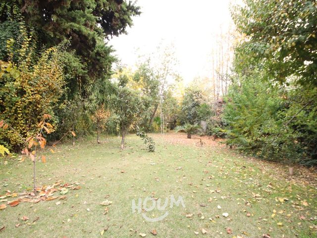 place photo 62