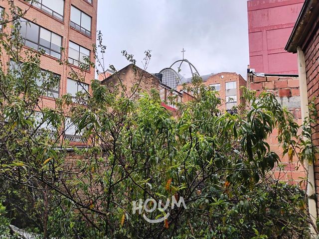 place photo 29