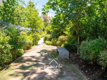 place photo 43