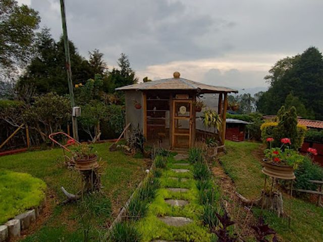 place photo 15