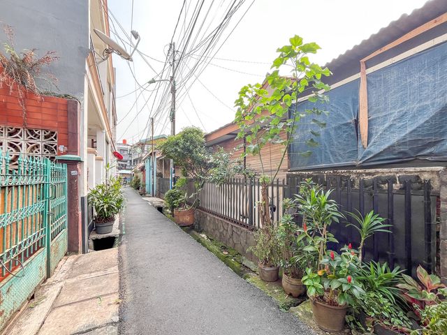 place photo 26