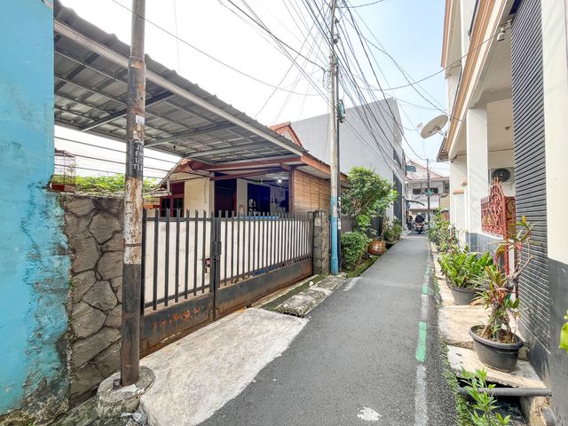 place photo 24