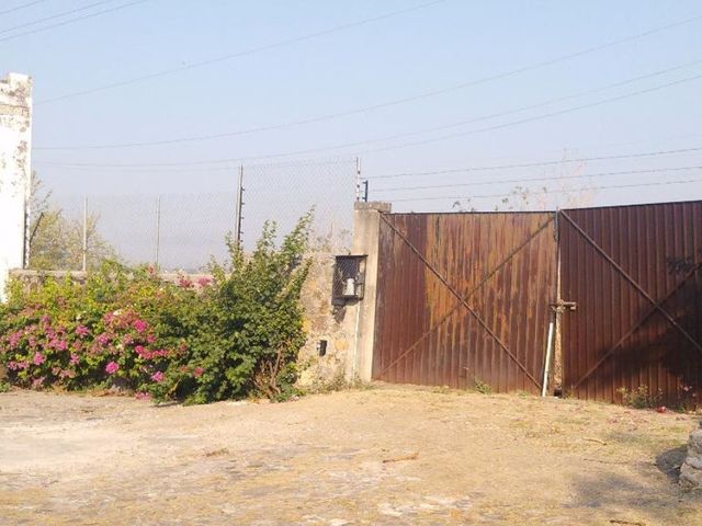 place photo 12