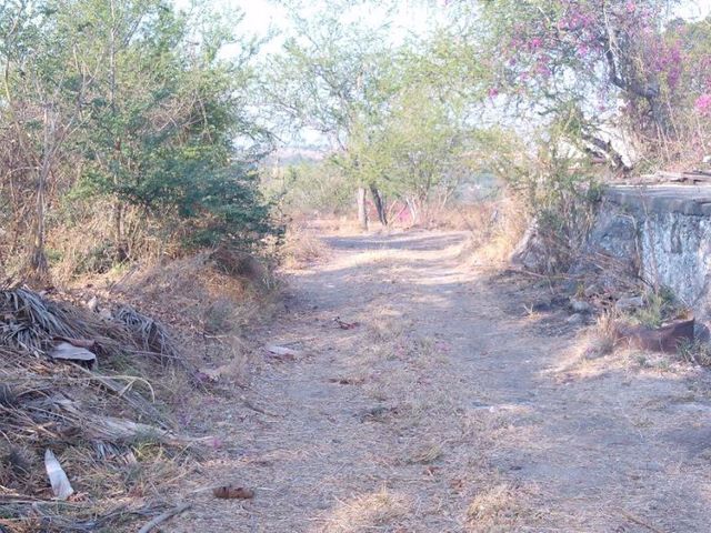 place photo 10