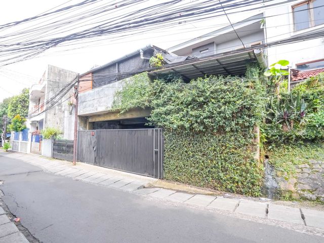 place photo 49