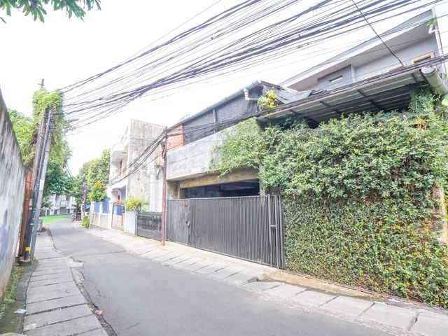 place photo 50
