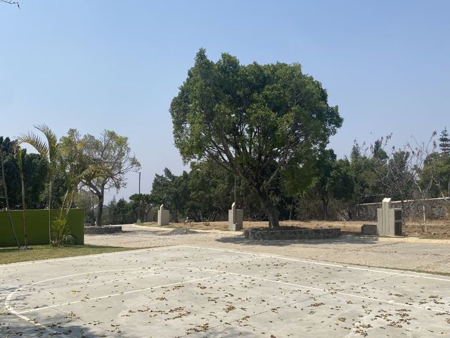 place photo 13