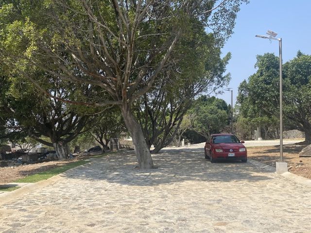 place photo 22