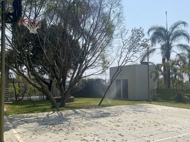 place photo 19