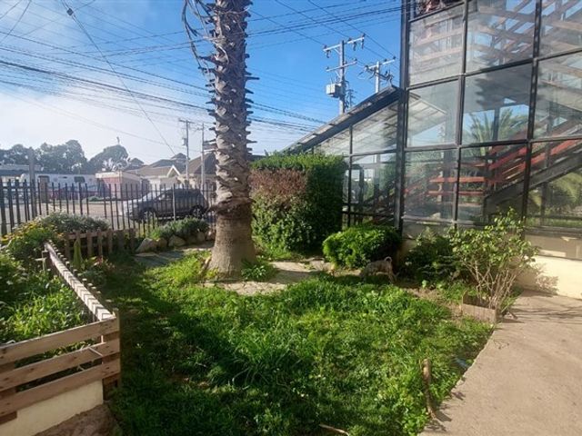 place photo 31