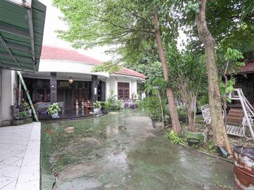 place photo 46
