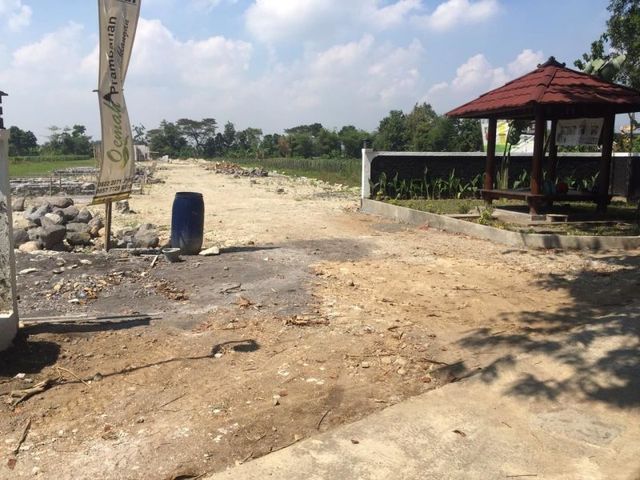 place photo 4