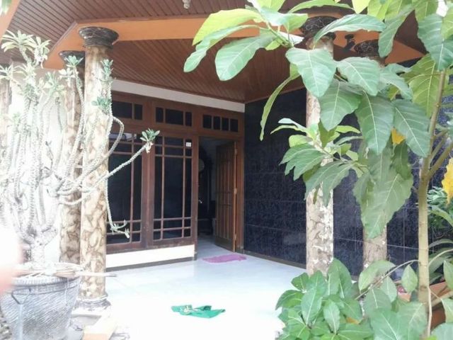 place photo 7