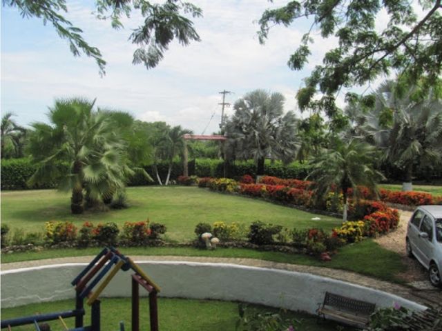 place photo 7