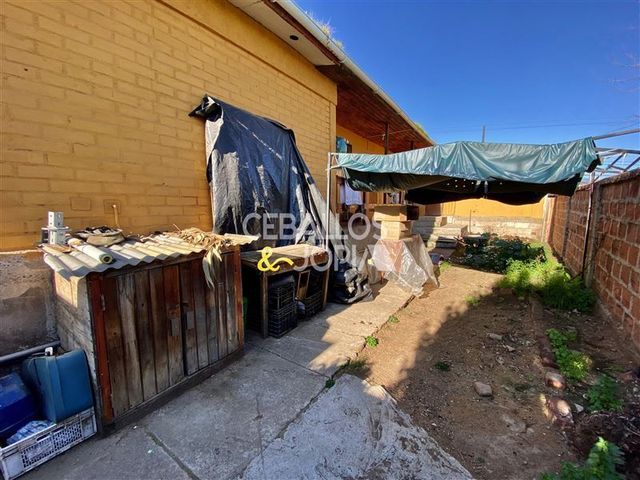 place photo 37