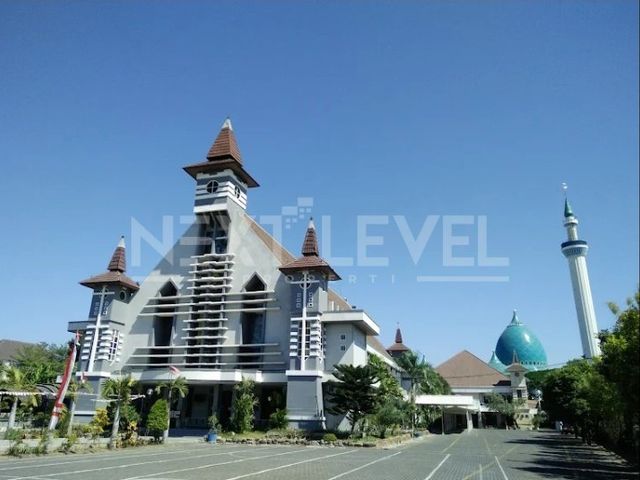place photo 18