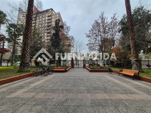 place photo 24