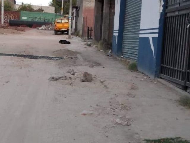 place photo 4