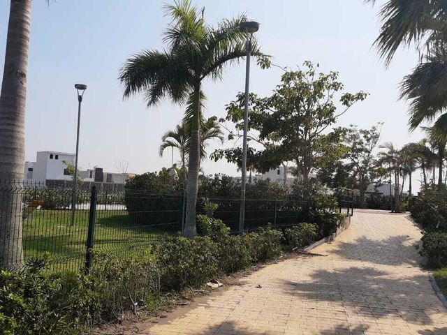 place photo 22