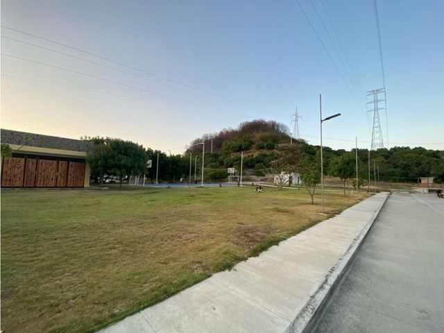 place photo 23