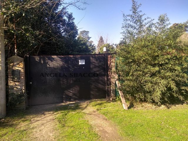 place photo 26