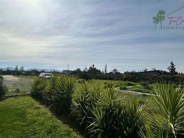 place photo 28
