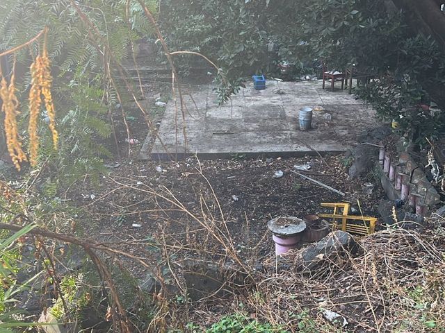 place photo 34