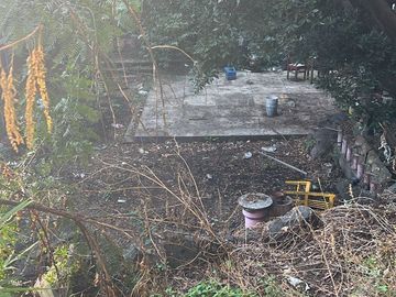 place photo 34
