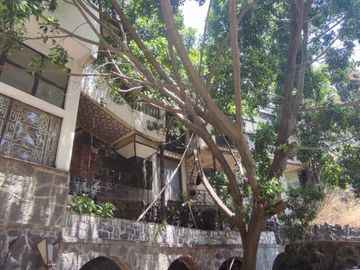 place photo 24