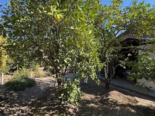 place photo 23