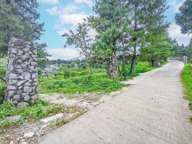 place photo 7