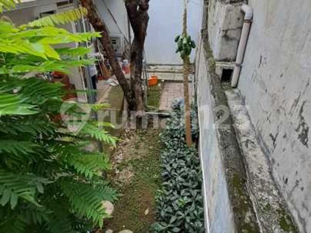 place photo 29